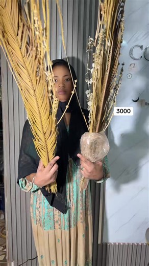 #homecollection #tiktokmali🇲🇱223