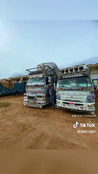 Exploring the LIVE Incentive Program for 2025