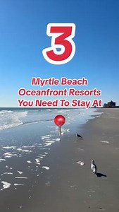 Add these 3 resorts to your Myrtle Beach bucket list! 😎🌊 | Visiting Myrtle Beach