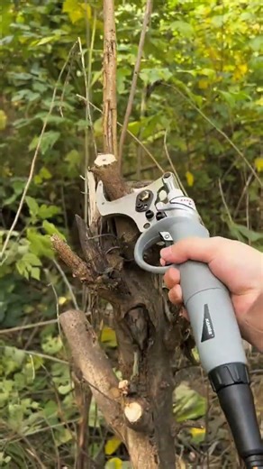 Upgrade Your Gardening Game With This High-Power Electric Branch Cutter! Must Watch#youtubeshorts