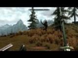 Weird Flying Sabertooth Tiger SKYRIM