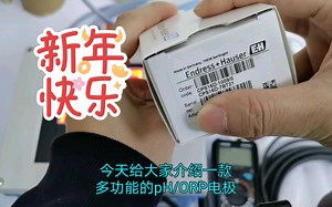 德国E+H多功能pH/ORP同时测量电极CPS16D