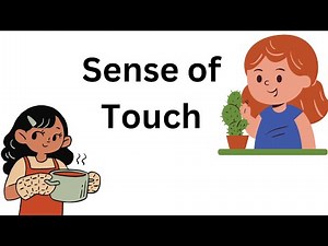 Sense of touch | Five Senses | kids science | Sense of touch for kindergarten