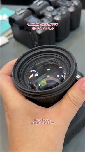 Nikon D780 SIGMA 50F1.4 #cuongtonny #vuonggiangcamera