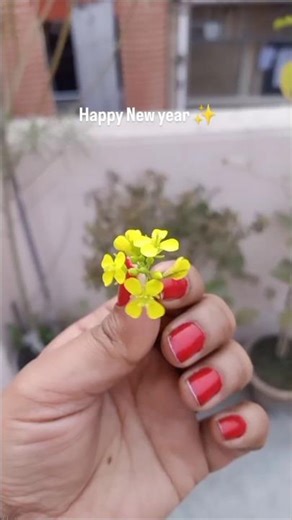 Day 1/100 | Happy New year ✨|#100dayschallenge #morningroutine #adayinmylife #shots #minivlog