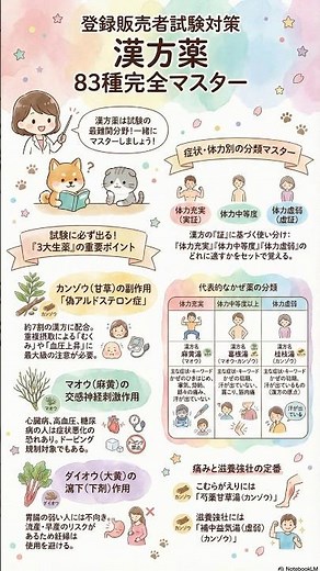 漢方薬８３種・攻略のコツ❗️これだけは絶対覚えて❗️【登録販売者試験】
