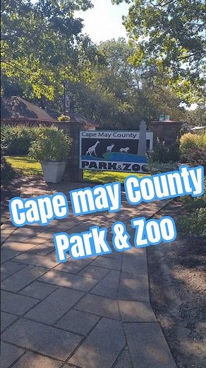 Best Zoo New Jersey | Cape may County Park & Zoo #zoolife #zoo #park park