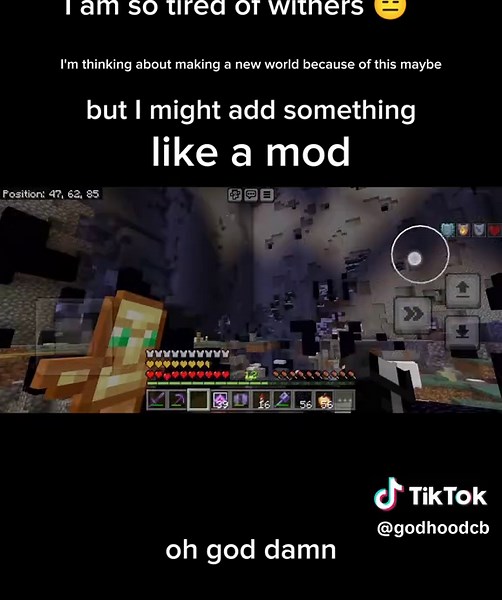 I'm thinking about adding a mod to the realm #minecraft #smp #realm #mod #witherstorm