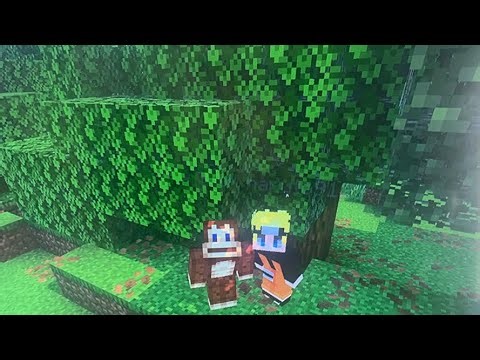 New mincraft survival server with my freinds
