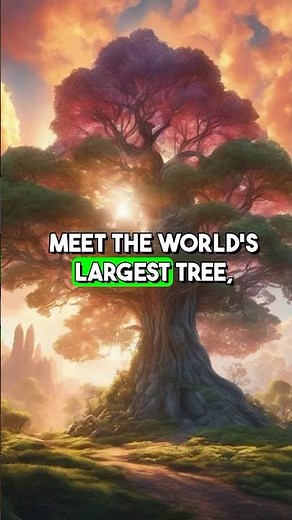 The LARGEST TREE In The World!