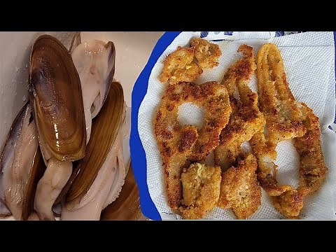 Oregon Razor Clamming Catch and Cook Clam Diggin on A Beach
