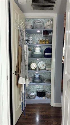 I Turned My Hall Linen Closet into a Hosting Closet: And My Whole House got Worse First