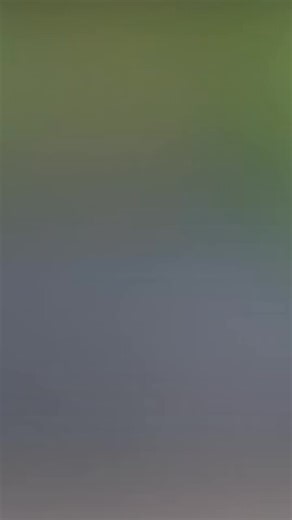 1.7K views · 17 reactions | Buffel armoured recovery vehicle (ARV) Leopard 2 PRB of bravocoyote #leopard2 #armouredrecoveryvehicle #recoverytank #arv | Top Video | Facebook