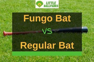 Fungo Bat Vs Regular Bat - What's The Difference? | Little Ballparks