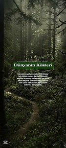 @samimiokur unutulmuşbüyüler #viral #booktok #keşfetbeniöneçıkar #keşfet
