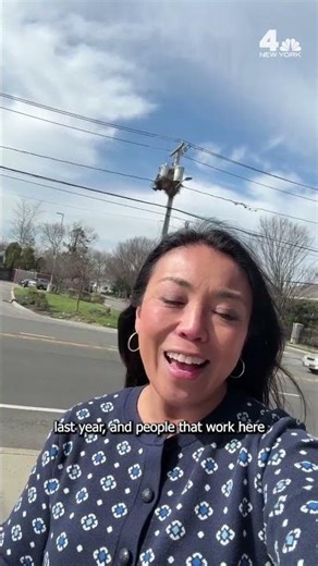 Wild parakeets on Long Island?! | NBC New York #longisland #queens #nyc