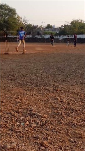 cricketer to voice mail system expanded