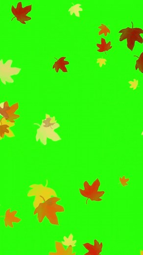 Green Screen Falling Leaves Overlay: Free VFX Chromakey Effects