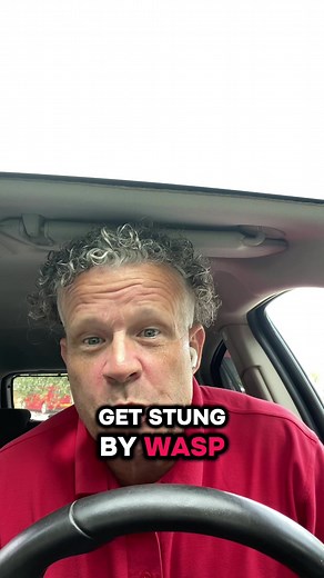 Wasp Warning: Essential Tips for Safe Work