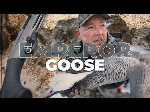 Emperor Goose Hunt | The Most Remote Waterfowl Hunt In North America