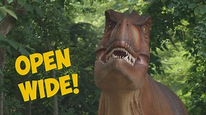 4.9K views · 87 reactions | 練 Come celebrate #DinoSummer with us! https://nationalzoo.si.edu/visit/dino-summer | Smithsonian’s National Zoo and Conservation Biology Institute | Facebook