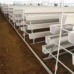 [Hot Item] Hydroponic Food-Grade Nft PVC Channel PVC Gutter Pipe for Strawberry