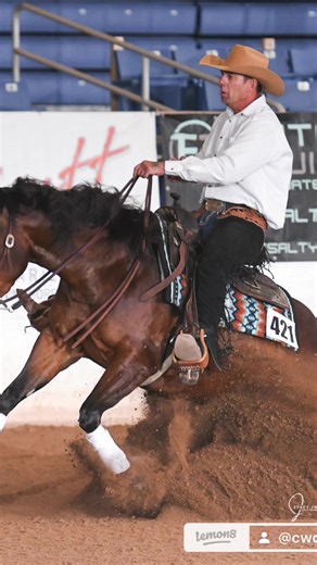 Reining Horse Sliding Stop Techniques