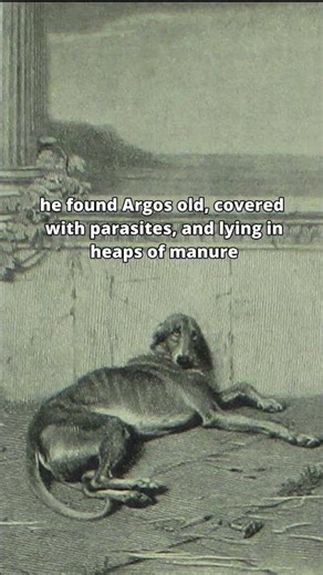 Odysseus and Argos reunite, Thirty More Famous Stories Retold by James Baldwin #history #art