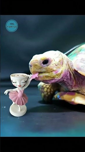 INCREDIBLY STRANGE ASMR SOUNDS OF A TURTLE EATING #ASMR #Satisfying