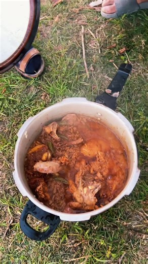 Top Pro Gamer Highlights and Gameplay Tips