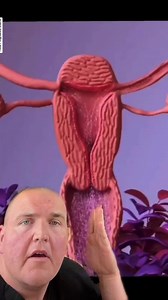 27K views · 141 reactions | How pregnancy starts. #pregnancyjourney #womenshealthmatters #fertility #embryo | Pregnancy Journey | Facebook