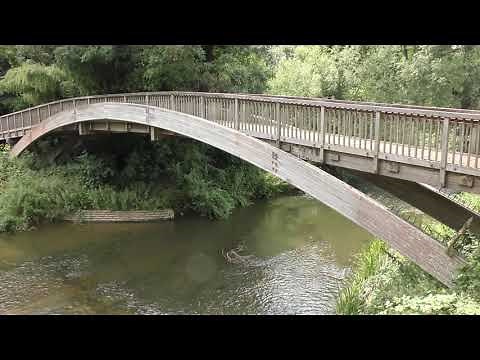 The River Mole, Surrey 4K