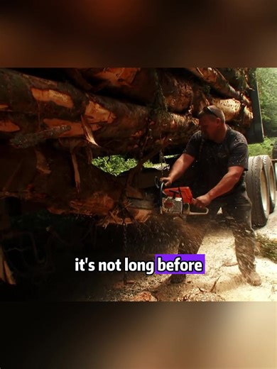 Extreme Logging: A Day in the Life