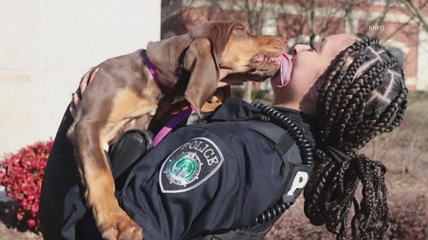 Newport News Police Department welcomes new K-9 unit members