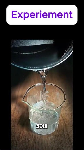 Experiment Part 4 | Easy Science Lessons