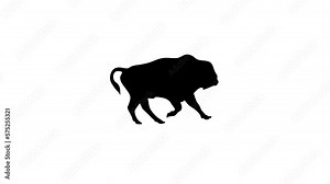 Silhouette of the galloping bison, animation on the white background (seamless loop) Stock Video
