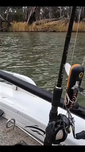 #travisfimmel #vikings #FansExperience #FimmelSupporters #travlabeer #travla #viral #capcutamor #australia #foryoupage❤️❤️#fyp #fypシ #fypシ゚viral