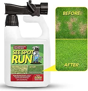 See Spot Run Lawn Protection Concentrate – 32 fl oz Each – Covers 5,000 Sq Ft – Hose-End Attachment – Grass & Lawn Saver & Supports Healthy Soil – Repairs Yellow Spots – Safe for Pets