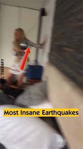 Most Insane Earthquakes | Animal Therapy