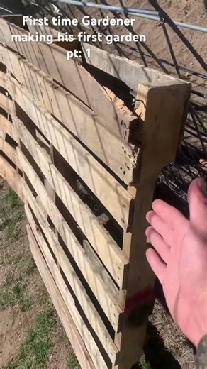 1st Timer DIY Arch Trellis Raised Garden Beds With Recycled Wood and Materials