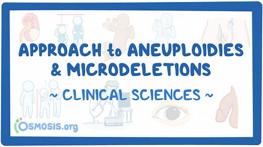 Approach to aneuploidies and microdeletions: Video & Meaning | Osmosis