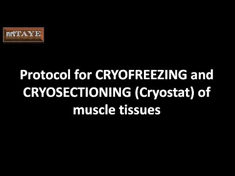 Cryofreezing and Cryosectioning (cryostat) of muscle tissues