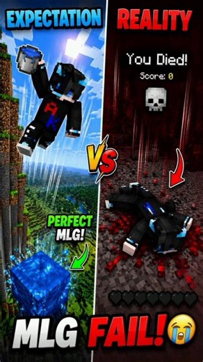 Expectation vs Reality