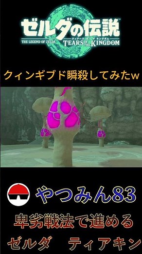 クィンギブド瞬殺してみたw #shorts
