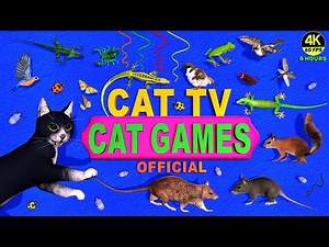 CAT GAMES 🐾 3D TV FOR CATS TO WATCH - ULTIMATE ENTERTAINMENT VIDEOS COMPILATION! 😻 4K 8 HOURS