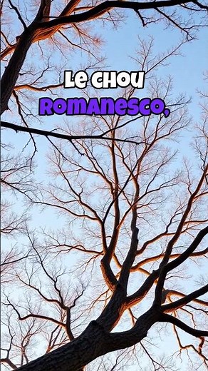 Les fractales cachées dans la nature 🌿 #science #nature