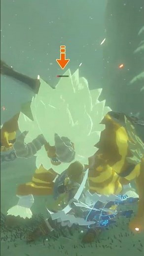 The Quickest Gold Lynel Battle Ever! #Zelda #BreathoftheWild #breathofthewildgameplay