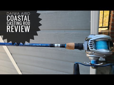 Daiwa Aird Coastal Inshore Casting Rod Review