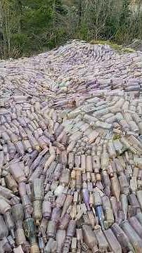 What Are Hundreds of Antique Bottles Doing Here? #antique #bottledigging