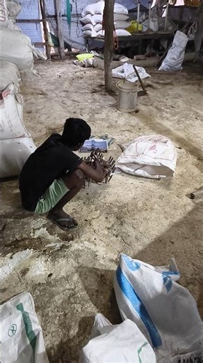 New Poultry batch start in my farm